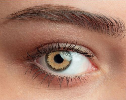 Lentilles journalières marron Queen's One Daily Color Choco – regard chocolat chaud, naturel et profond