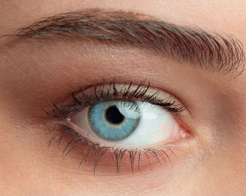 Lentilles de contact bleu clair – Queen's Solitaire Light Blue (trimestrielles)

