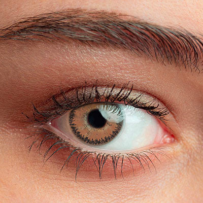 Lentilles de contact marron Sweet Brown – regard chaud et naturel sur l’œil