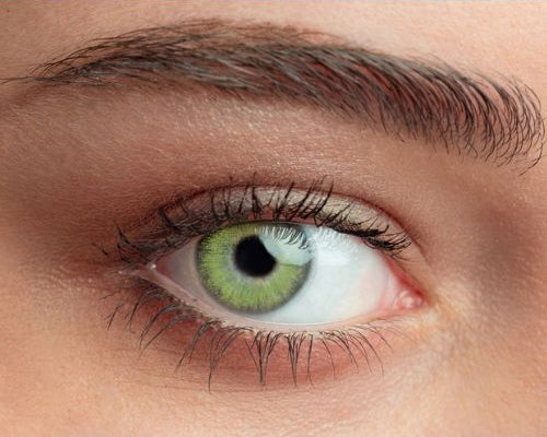 Lentilles de contact vert jade – Queen's Solitaire Jade (trimestrielles)

