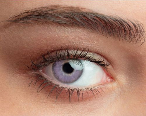 Lentilles de contact violettes Queen's Solitaire Purple – teinte intense sur œil foncé ou clair