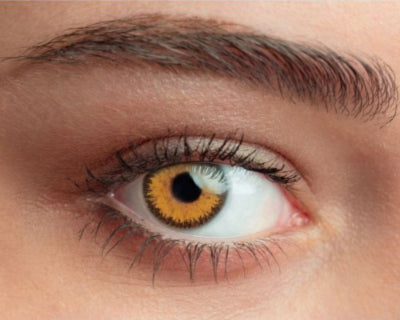 Lentilles de couleur ambre Queen's Trilogy Amber – regard doré chaud et éclatant
