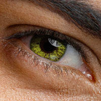lentille-ozia-emeraude-c209_2