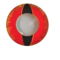 lentilles noires effet démoniaque DEMONIAC PARTY SAURON sans correction